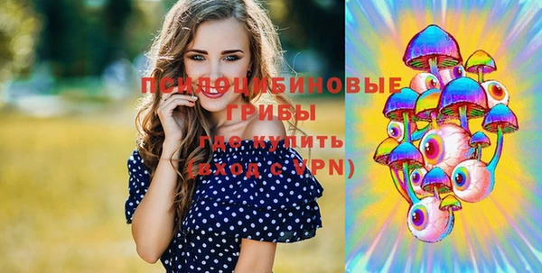 соль ск Медвежьегорск