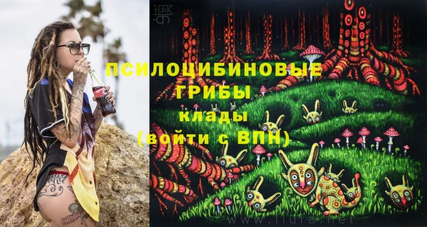 мдпв Медногорск