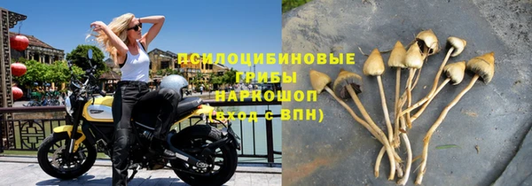 мдпв Медногорск