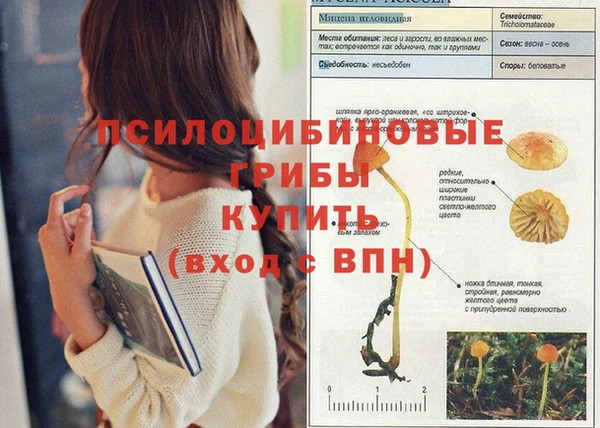 соль курить ск Мегион