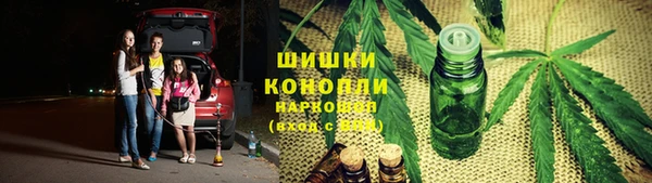 таблы Бородино